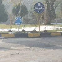 توله سگ گمشده ماده.در شهرک صنعتی خیام