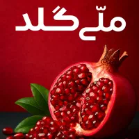 کد جایزه نقدی مخصوص شب چله MGj3PEH401nS