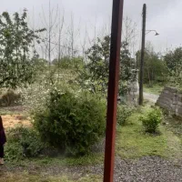 خونه روستایی ۵۶۰متری|فروش خانه و ویلا|رشت, دیلمان|دیوار