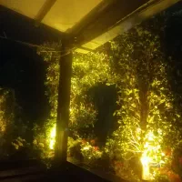 کمک اشپز (برنج پز)