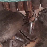 نهارخوری چهارنفره فانتزی واز چوب جنگل|میز و صندلی غذاخوری|تبریز, |دیوار