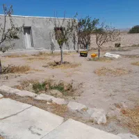 زمین در روستای دودهه|فروش زمین و ملک کلنگی|کوهین, |دیوار