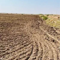 اجاره ۴ هکتار زمین کشاورزی آبی رامشیر ۵ سال