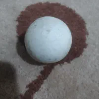 خواهشن وقت هم رونگیریم مشتری هستین بزنکین