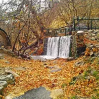 نیاز ب معلم خصوصی پایه چهارم