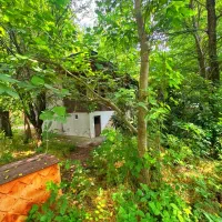 ۲۹۵ متر خانه محوطه جنگلی روستایی بنای سنتی|فروش خانه و ویلا|فومن, |دیوار