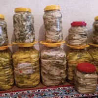ترشی بیلهر تمیز