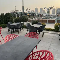 میزو صندلی رستوران