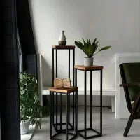 تولید و فروش استند گل مدرن و مقاوم برند شاخه|گل و گیاه طبیعی|تاکستان, |دیوار