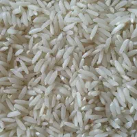 برنج طارم هاشمی درجه ۱ شمال|خوردنی و آشامیدنی|کرج, فاز ۵ مهرشهر|دیوار