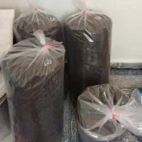 چای خشک بهاره