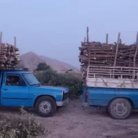 خریدارچوب وبریدن درخت|خدمات باغبانی و درختکاری|بندرعباس, |دیوار