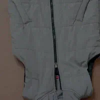 پافر