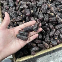 خرمای ربی|عمدهفروشی|بم, |دیوار