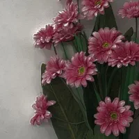 گل مصنوعی|گل مصنوعی|ابهر, |دیوار