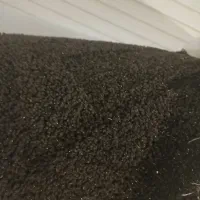 موکت|موکت|رامشیر, |دیوار