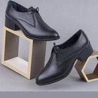 کیف و کفش چرم طبیعی