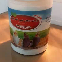 سرلاک جوجه  عروس