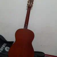 گیتار|گیتار، بیس، امپلیفایر|سنقر, |دیوار