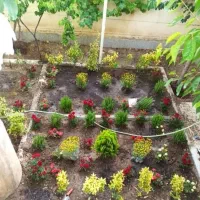 خدمات باغبانی گلکاری باغچه کاری درختکاری