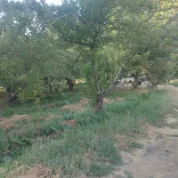 ۲۵۰۰متر باغ دهبوره راه معاوضه با ماشین و ملک|فروش زمین و ملک کلنگی|نهاوند, |دیوار