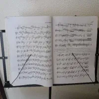 آموزش سنتور