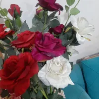 ۲ تا گل و گلدان|گل مصنوعی|اهواز, زیتون کارگری|دیوار