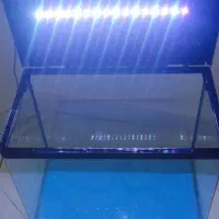 اکواریوم   آکوا Aqua شیشه خم  ۴۵×۶۰×۳۵|ماهی|تهران, یوسف‌آباد|دیوار