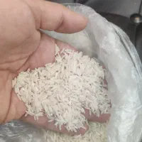 فروش برنج هاشمی اصلاح شده عطری250 کیلو