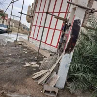 داربست احمد