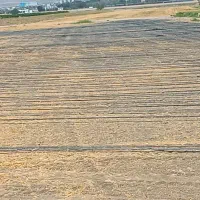 ضایعاتنوارتیپکشاورزی