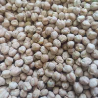 نخود بوجاری شده