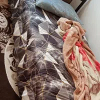 تخت وتشک کاملا سالم