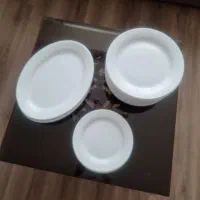 چینی ایرانی کارکرده