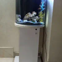 آکواریوم شیشه خم سالم با لوازم کامل