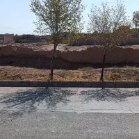 فروش زمین در بلوار طوطی 22 قصب