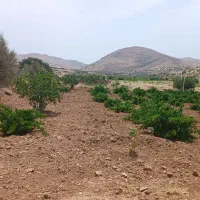 فروش باغ روستای بردج قابل معاوضه|فروش زمین و ملک کلنگی|شیراز, نصر|دیوار