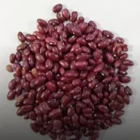 لوبیا قرمز درجه یک