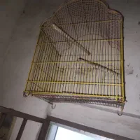 ۳ تا قفس سالم سالم و تمیز با کفی
