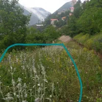 زمین|فروش زمین و ملک کلنگی|دالخانی, |دیوار