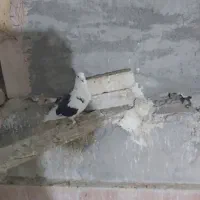 دوکت و سوسکی