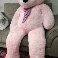 خرس بزرگ ۱۶۰ سانتی شاسخین