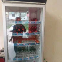 یخچال ایستاده وبستنی