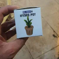 مولی گوپی پلاتی سوارتیل آنجل|ماهی|مشهد, فرهنگیان (شهرک غرب)|دیوار