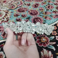 تعدادی تاج عروس ارزون