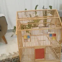 قفس چوبی