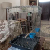 قفس سایز بزرگ پرنده