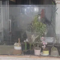 اکواریوم  ۱۰ میل