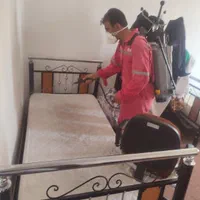 خدمات سمپاشی|خدمات نظافت|یاسوج, |دیوار