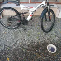 فروش دوچرخه|دوچرخه، اسکیت، اسکوتر|گلپایگان, |دیوار